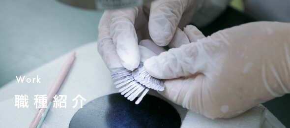 Work | 職種紹介